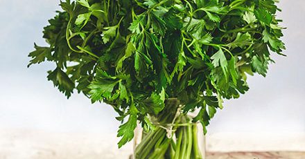 Health advantages of parsley | Enjoy your meal