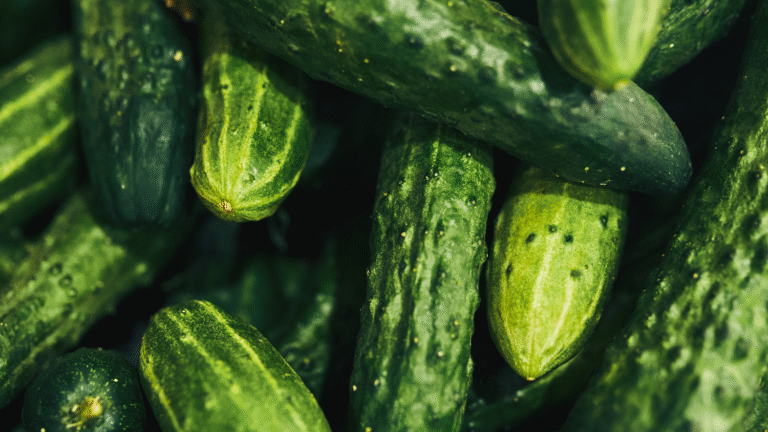I tried the 5-second trick to repair bitter cucumber, and now I will never treat it again now