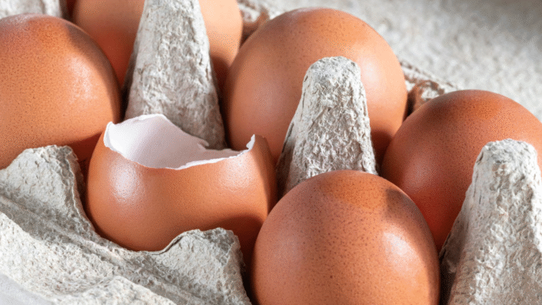 Is it certain to put eggshells back in the box?
