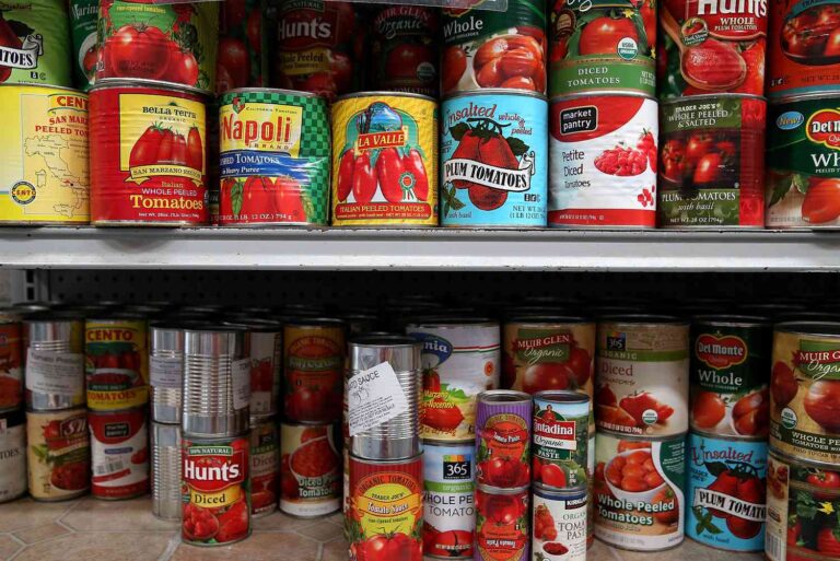 The ultimate guide for tomato canvases