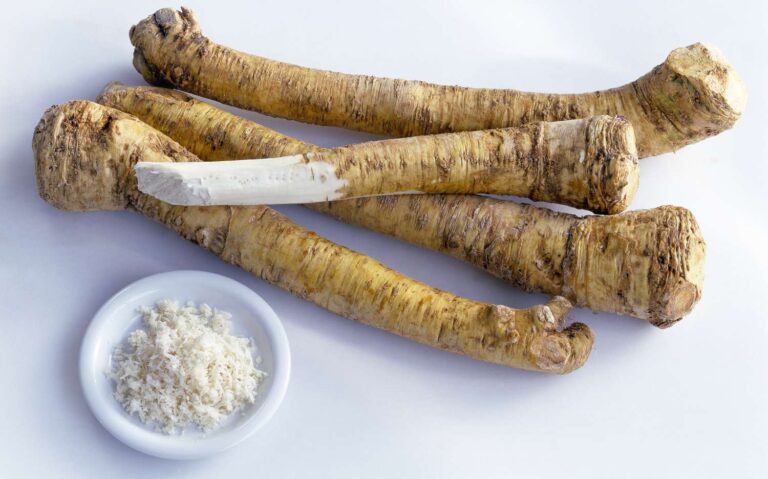 How to cook with fresh horseradish