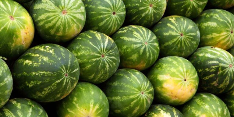 The easiest way to choose the sweetest watermelon is a tip that I would never have guessed