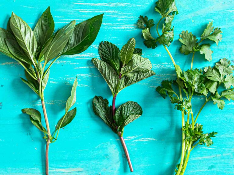 The brilliant way to save withered herbs (and build up every dish)