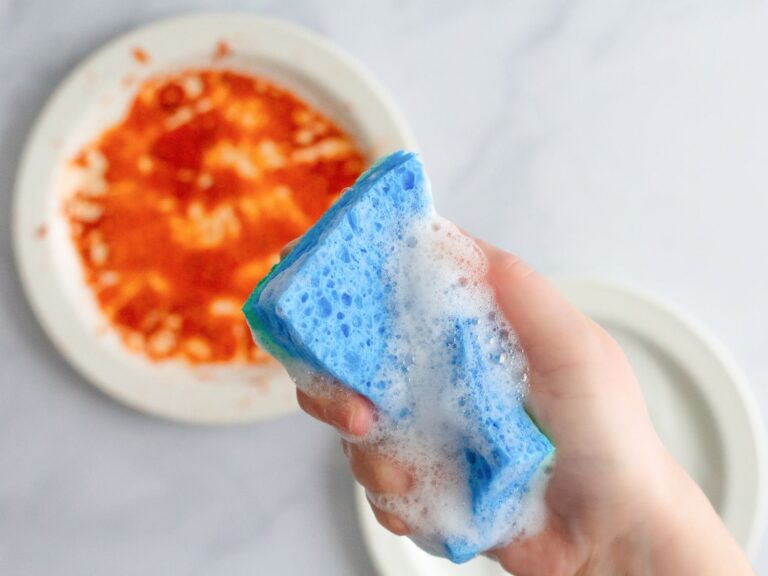 Should you replace your sponge every week? Here is what science says