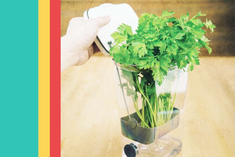 8 buyers loved herbal guards on Amazon