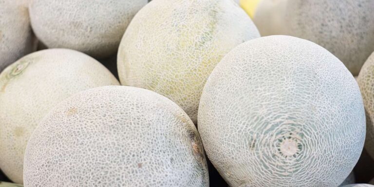 I asked 4 farmers how to select the best Kantaloupe, and everyone said the same thing