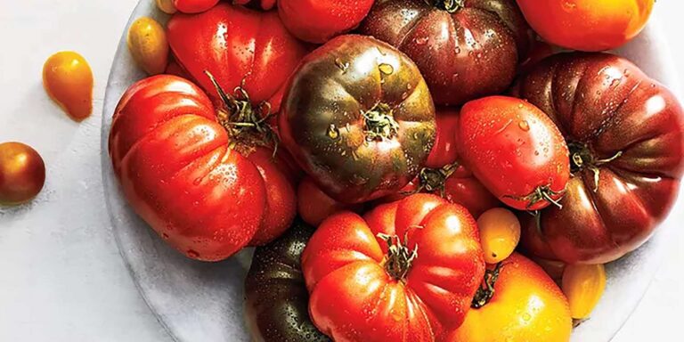 Experts warn tomatoes become more expensive – here is the reason