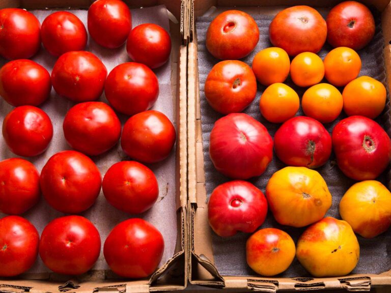 Stop letting perfect tomatoes waste – do this instead